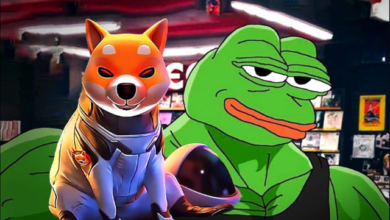 Pepe and Shib Rise